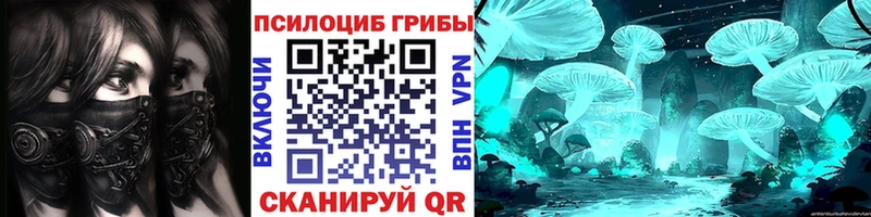 Псилоцибиновые грибы прущие грибы  даркнет сайт  Щёкино 